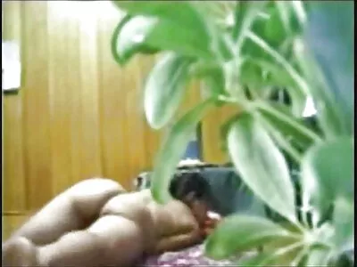मिल्फ तिच्या पुच्ची चाटत आहे